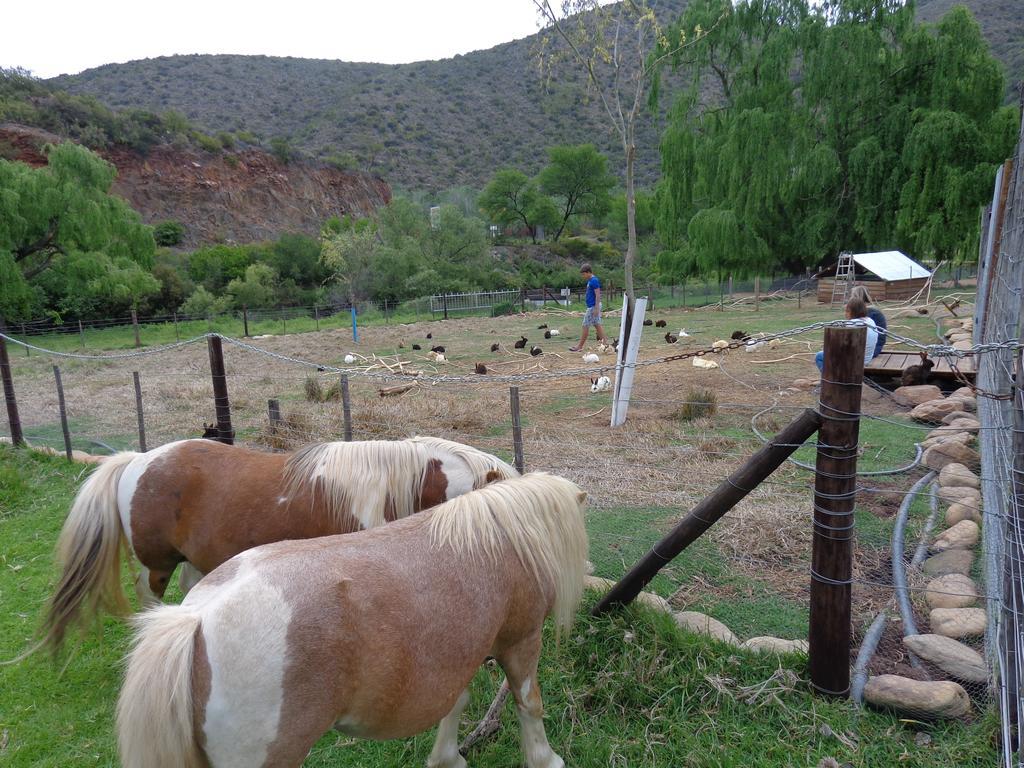 De Oude Meul Country & Restaurant Lodge *