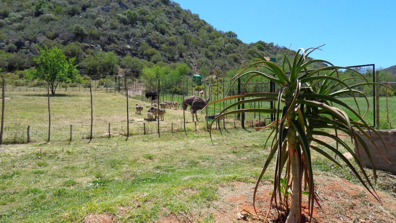 Lodge De Oude Meul Country & Restaurant Oudtshoorn